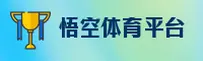 使用指南与常见问题